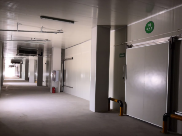 食品公司內建造一個1000平包子、水餃速凍冷庫費用是多少？