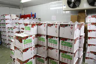 大型葡萄水果冷庫建造設計冷庫保鮮技術