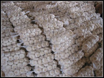 大蒜保鮮冷庫設(shè)計，冷庫安裝要求