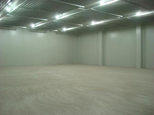 西蘭花冷庫存儲(chǔ)多久，100噸西蘭花冷庫建造多少錢