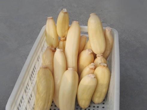 建造蓮藕冷藏庫多少錢一平，100噸的蓮藕要多大庫