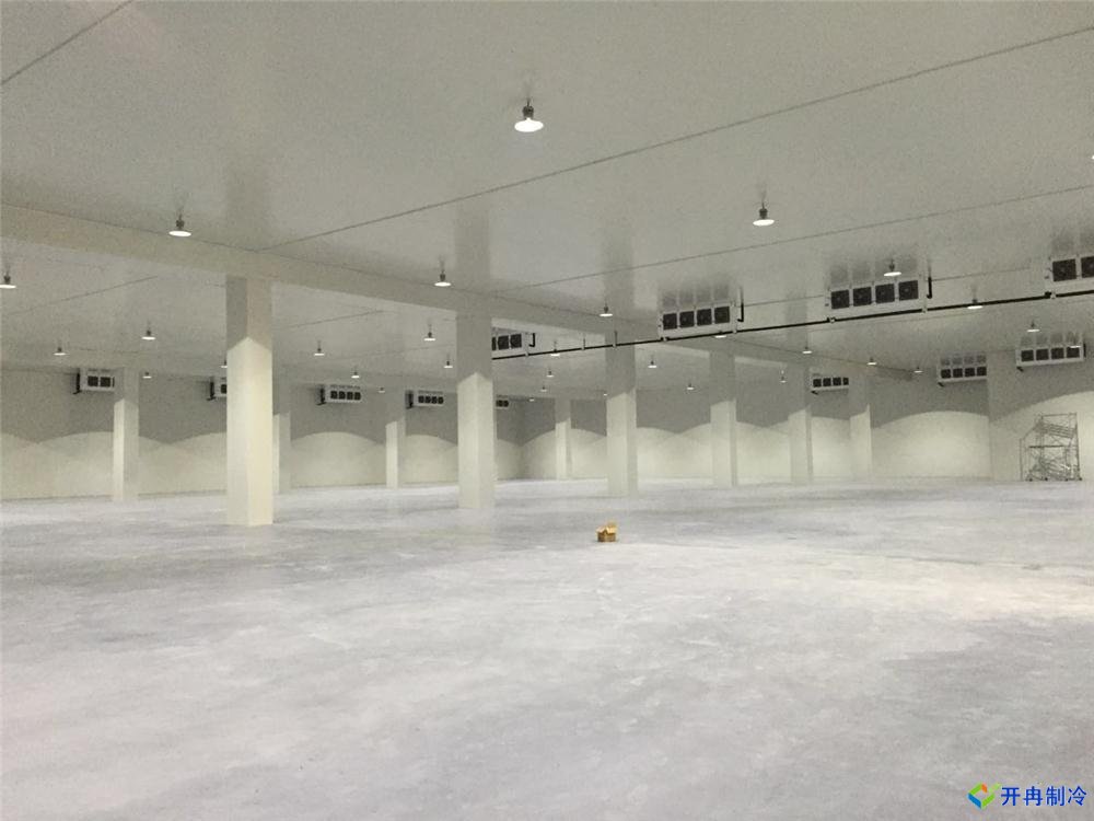 浙江建-60℃金槍魚(yú)超低溫冷庫(kù),冷庫(kù)總價(jià)預(yù)算多少